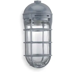 ACUITY LITHONIA VP150I M12 Vapor Tight Fixture Incand 150 W Pendant | AC3APK 2PYJ6