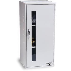 ALLEGRO SAFETY 4200 Generisches Aufbewahrungs-Wandgehäuse mit einer Tür, mit Etikettenset | AG8EZE