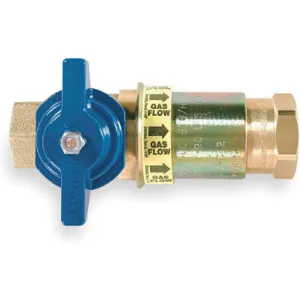 DORMONT CF-75 Safety Gas Valve | AE2JFF 4XR91