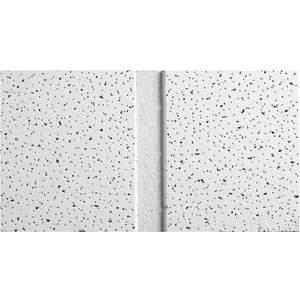 ARMSTRONG WORLD INDUSTRIES 1761C Ceiling Tile Angled Teg 48 x24 Inch PK10 | AG9WWR 22XJ42