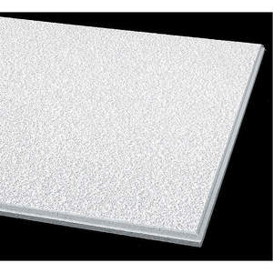 ARMSTRONG WORLD INDUSTRIES 304A Ceiling Tile Beveled Tegular 24 x 24 PK12 | AG9WWT 22XJ43