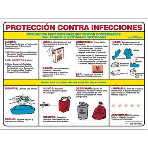 BRADY PS125S Poster 18 x 24 Bloodborne Pathogen Spanisch | AD2AHB 3LY50