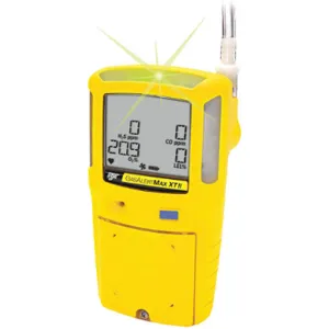 BW TECHNOLOGIES XT-00H0-Y-BR Single Gas Detector H2s 0-200 Ppm Br Yellow | AC4WKD 30N690