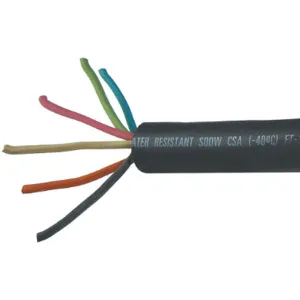 CAROL 09206 Service Cord SOOW Black 12/6 50 feet | AF6YRY 20PY42