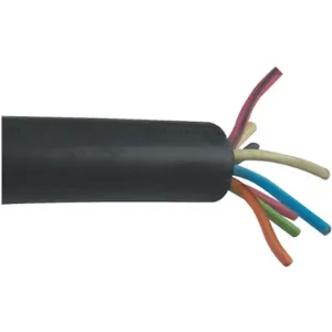 CAROL 09808 Service Cord SOOW Black 18/8 50 feet | AF6YRH 20PY25