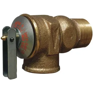 CASH ACME F-30 Safety Relief Valve 3/4 Inch 30 psi Brass | AF2DJZ 6RKF1