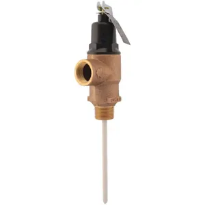 CASH ACME FVMX-5C Temp & Press Relief Valve MNPTxFNPT InletSize 3/4 | AC3CWV 2RMY8