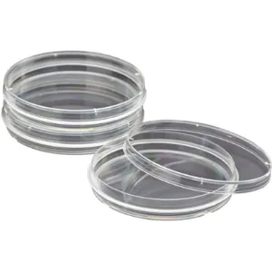 CELLTREAT 229653 Petri Dish 150 x 20mm 25 to 28mL PK100 | AG9GJW 20AR88