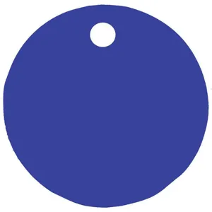 CH HANSON 43006 Blank Tag, Round, Blue, 1 Inch Dia., 5 Pk | AF6XCQ 20LR59