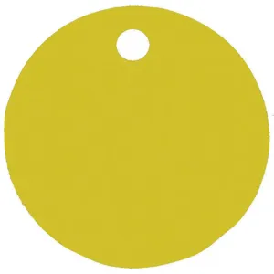 CH HANSON 43007 Blank Tag, Round, Gold, 1 Inch Dia., 5 Pk | AF6XCR 20LR60