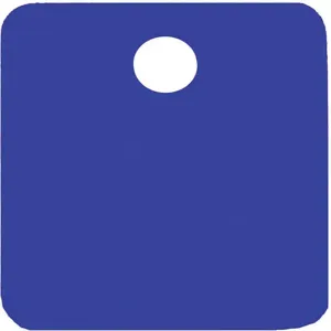 CH HANSON 43031 Blank Tag, Square, Blue, 2 Inch Size, 5 Pk | AF6XDT 20LR84