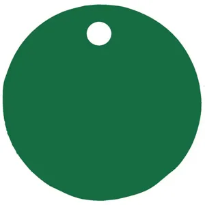 CH HANSON 43086 Blank Tag, Round, Green, 3 Inch Dia., 5 Pk | AF6WUW 20LT36