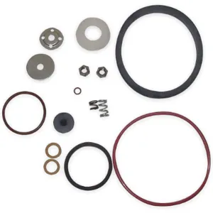 CHAPIN 6-4646 Sprayer Repair Kit Viton | AC4HGU 2ZV96