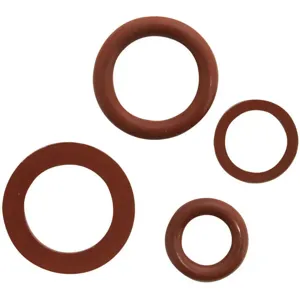 CHAPIN 68153 Discharge O Ring Kit | AE8MAR 6DZE7