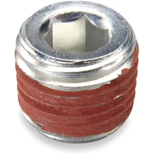 CONDOR PP25 Pipe Plug 1/4 Inch NPT MDR11 and MDR3 - Pack of 10 | AC9DWU 3FWU8