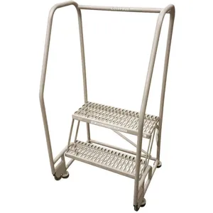 COTTERMAN 2TR18A3E20B8C1P6 Rolling Ladder Welded Handrail Platform 20 Inch Height | AB6CJD 20Z346