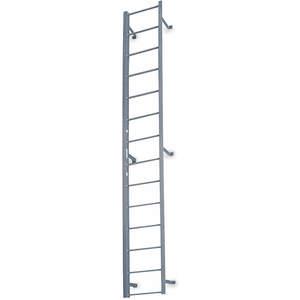 COTTERMAN F9S C1 Fixed Ladder 8 Feet 3 Inch H Steel | AD7JUG 4EU30