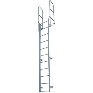 COTTERMAN F18W C1 Fixed Ladder Walk-through 20 Feet 8 Inch H Steel | AE3UCC 5FZD4