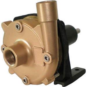 DAYTON 10X667 Centrifugal Pump Head 1-1/2 Hp Bronze | AA2PVL