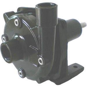 DAYTON 10X671 Centrifugal Pump Head 1-1/2 Hp Cast Iron | AA2PVQ