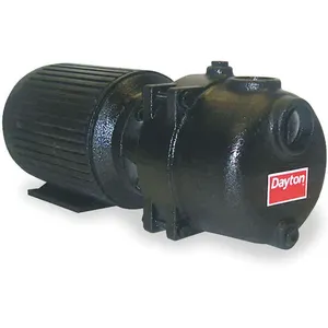 DAYTON 12N806 Sewage/trash Pump 5 Hp | AA4JCD