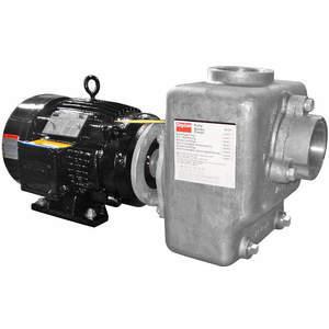 DAYTON 12N813 Centrifugal Pump Self-priming 5 Hp Ss | AA4JCL