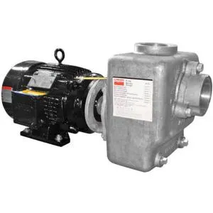 DAYTON 12N811 Centrifugal Pump Self-priming 3 Hp Ss | AA4JCJ