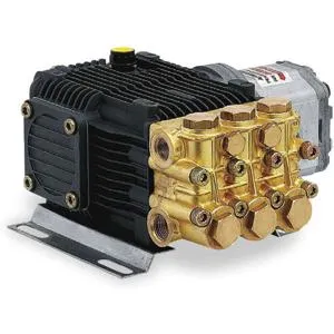 DAYTON 1MDB4 Pressure Washer Pump 3000 Psi | AB2JQU