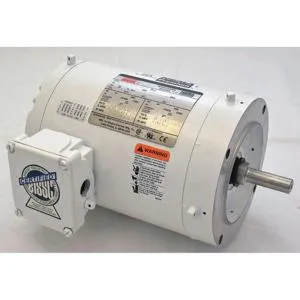 DAYTON 1TTA3 Washdown Motor 3-phase Tenv 3/4 Hp 3450 Rpm | AB3JHF