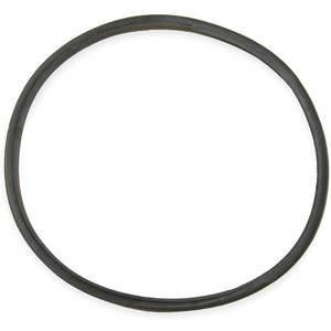 DAYTON 1ZLW6 Paint Tank Lid Gasket For Use With 4z748 | AB4PPJ