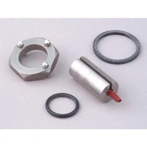 DAYTON 2DAA9 Valve Rebuild Kit With Instructions | AB9GUT