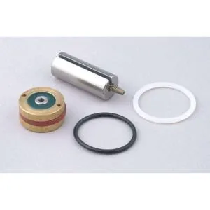 DAYTON 2DAB2 Valve Rebuild Kit With Instructions | AB9GUV