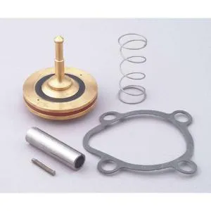 DAYTON 2DAB8 Valve Rebuild Kit With Instructions | AB9GVB