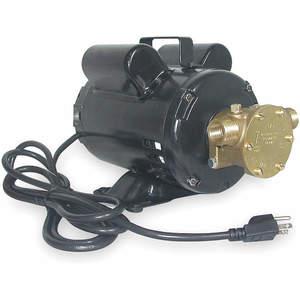 DAYTON 3ACB9 Pumpe Bronze 1/3 PS 115/230 V 7.2/3.6 Ampere | AC8HBD