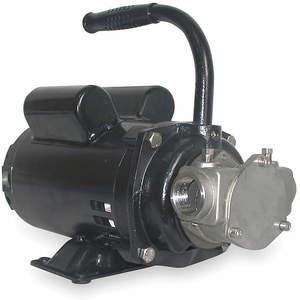 DAYTON 3ACC6 Pump Stainless Steel 3/4 Hp 115/230v 14.0/7.0 Amps | AC8HBK