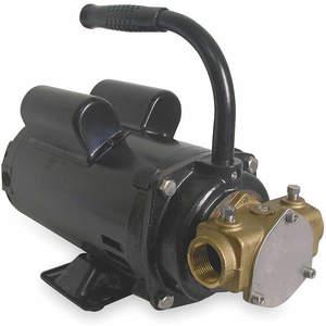 DAYTON 3ACD3 Pump Flexible Impeller 1 Hp 115/230v | AC8HBQ