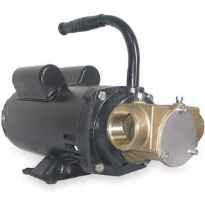 DAYTON 3ACD4 Pumpe mit flexiblem Laufrad 1 1/2 PS 115/230 V | AC8HBR
