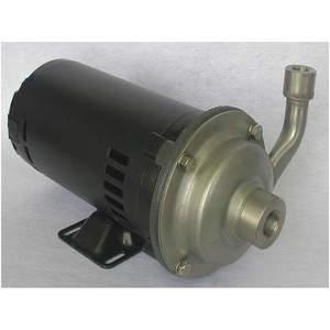 DAYTON 4JMV4 Pumpe 1/2 PS 230/460 V 2.6/1.3 Ampere | AD8EQJ