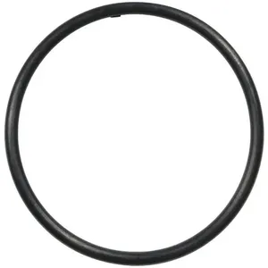 DAYTON PP02011003G O-Ring for 1-1/2 Inch Union | AG9XLL 23AY44