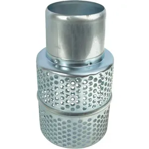 DAYTON PP201200240G Strainer | AG9XUL 23CD81