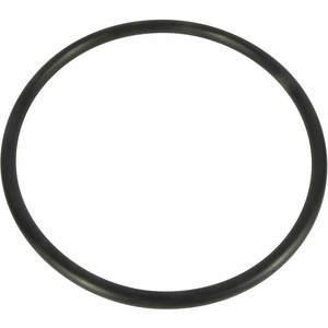 DAYTON PP21101000001G Trap Lid O-Ring | AG9XRH 23CC75