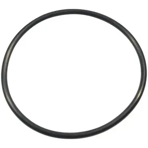 DAYTON PP21101500004G Trap O-Ring | AG9XKW 23AY05