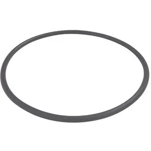 DAYTON PP21102000001G Trap O-Ring | AG9XKX 23AY06