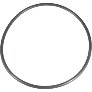 DAYTON PP21102060001G Cover O-Ring | AG9XNY 23AZ68