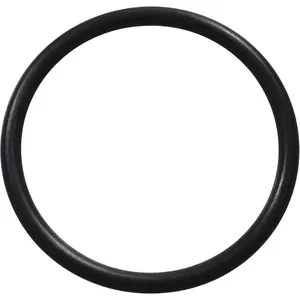 DAYTON PP21102200-01G Cord Seal O-Ring | AG9XVH 23CF08