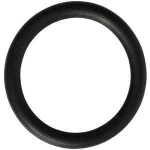 DAYTON PP60070G O-Ring | AG9YCH 23CJ12