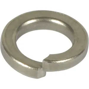 DAYTON PP60257AG Lock Washer Stainless Steel | AG9XDR 23AT36