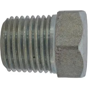 DAYTON PPL3507G Pipe Plug 1/8 NPT | AG9YAU 23CH37