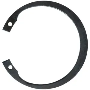 DAYTON PPL3605G Retaining Ring | AG9YBC 23CH47