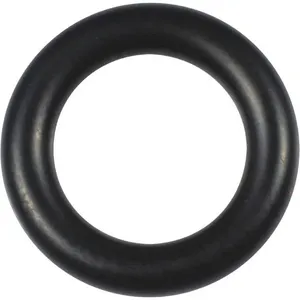 DAYTON PPORGVBS110G Compression Nut O-Ring | AG9XTP 23CD39